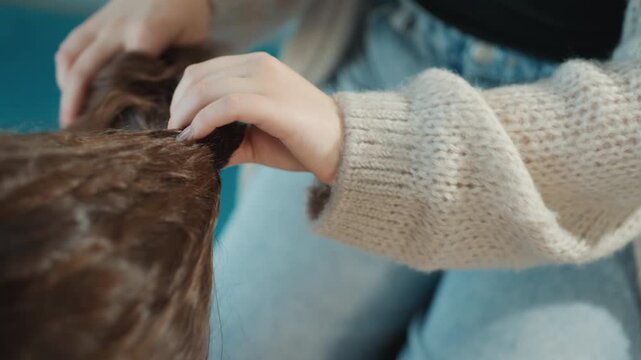 Casual Hairdo On Couch, Relaxed Scene With Hair Styling Process, Closeup Of Hands Arranging Shiny Hair In Ponytail, Comfortable Setting Where Friend Styles Hair Casually Near Window