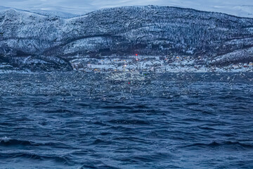 Fjord in verschneitem Norwegen mit M&ouml;wen, Orcas und kleinem Fischerboot