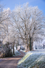 Fototapeta premium Small winding road to a chapel on a frosty winter morning