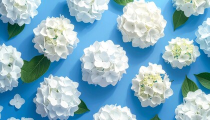 &ldquo;Pattern of white hydrangea flowers green leaves bright blue background fresh vibrant botanical aesthetic&rdquo;