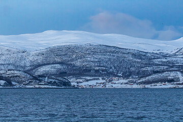 Fjord in Norwegen mit schneebedeckten Bergen und Vollmond