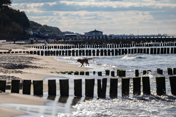 Krajobraz z falochronem na wybrzeżu morza, plaża