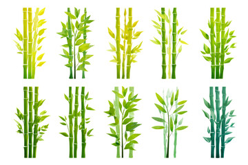Obraz premium A collection of bamboo stalks with leaves in various shades of green on transparent background