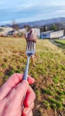 Hand holding a fork with pickled herring outdoors during daytime