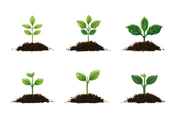 An illustration of six small green plants growing in soil mounds on transparent background