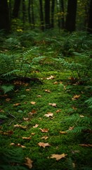 Dense forest floor texture with lush, vibrant green moss, ferns, and scattered fallen leaves indicating the start of the seasonal transition ,cool ,peaceful ,foliage