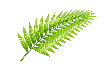 Fototapeta premium Tropical palm leaf frond depicting summer vacation and exotic nature, isolated on a transparent background for design