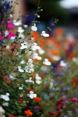 Colorful Spring Wildflowers Meadow With Vibrant Blooming Flowers Background