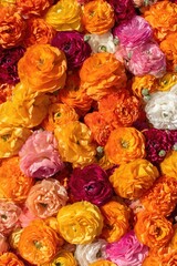 Colorful Spring Wildflowers Meadow With Vibrant Blooming Flowers Background