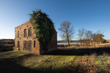 Opuszczony dom na wsi porośnięty bluszczem © Magdalena