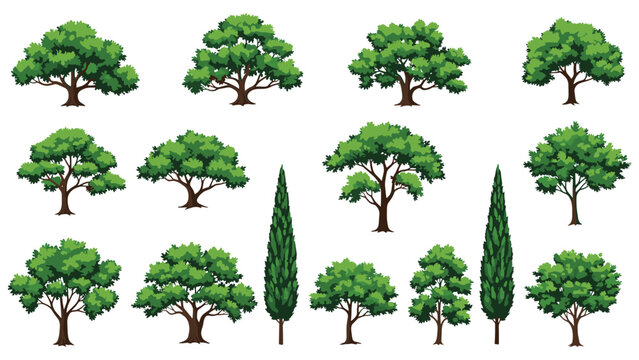 Diverse collection of green tree illustrations including various shapes like oaks and cypresses for landscaping and environmental design projects.