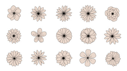 Set of delicate flower blossom sketches in a soft cream color with detailed petal patterns on a white background.