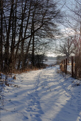 Polna droga zimą. Ziemię pokrywa gruba warstwa śniegu. Po lewej stronie widać widać zarośla, po prawej stronie drewniane słupki ogrodzenia z siatki. Jest słoneczny dzień.
