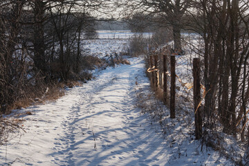 Polna droga zimą. Ziemię pokrywa gruba warstwa śniegu. Po lewej stronie widać widać zarośla, po prawej stronie drewniane słupki ogrodzenia z siatki. Jest słoneczny dzień.