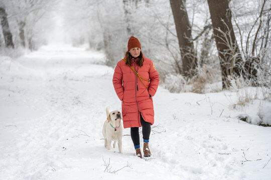 Woman walks Labrador retriever on snowy road under frosted trees in quiet winter landscape