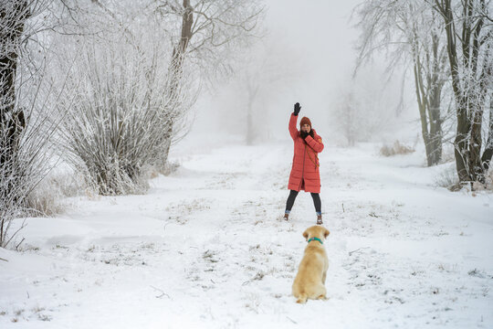 Woman raises hand to train Labrador retriever sitting on snowy path in foggy winter forest