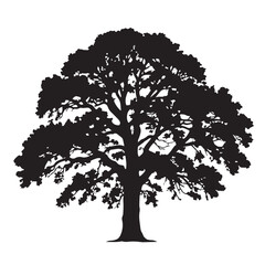 Obraz premium Mature Tree Silhouette in Dramatic Black on White Background for Environmental Conservation