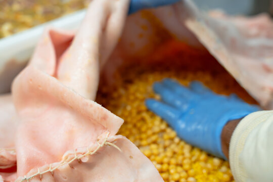 Chef filling and shaping traditional lechona with yellow rice inside sewn pork skin, close-up.