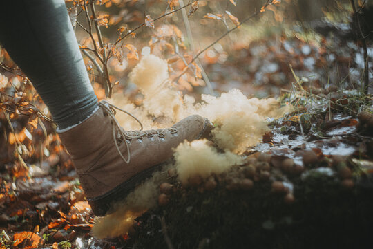 woman stomping at mushroom spores,  walking in the woods