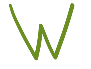 Hand drawn letter W, olive green brush doodle alphabet isolated on transparent background