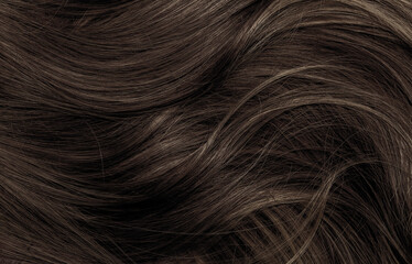 Naklejka premium Brown hair close-up as a background. Women's long brown hair. Beautifully styled wavy shiny curls. Hair coloring. Hairdressing procedures, extension.