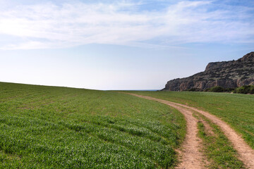 Obraz premium Marine landscape at Agia Napa sea coast with green grass on January