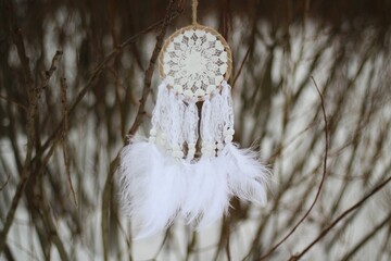 Dream catcher in winter outdoor season snow mascot bohemian style ethnic object hanging on the tree nature cozy calm photo beautiful background lifestyle thing boho lovely craft dreamcatcher 