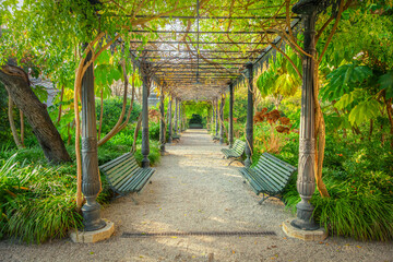Pergola with plants in Italy garden