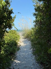Fototapeta premium beach entry path