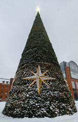 Beautiful shiny decorated Christmas tree 