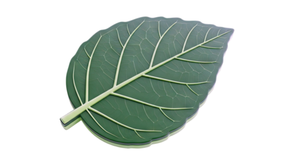 3D Render of a Stylized Green Leaf with Prominent Veins