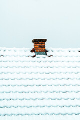 Brick chimney protruding from a thick snow-blanketed rooftop under a pale overcast sky, with subtle snow texture on the cap.