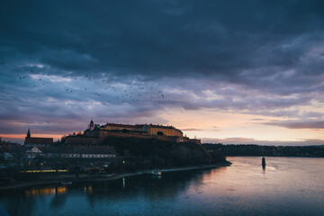 Flock of birds flying over dramatic twilight silhouette of the iconic Petrovaradin Fortress perched on a hill overlooking the calm Danube River