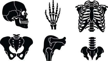 Minimalist flat design empty white background centered blank vector canvas for product mockup subtle neutral lighting studio perspective clean modern composition isolated space high resolution 