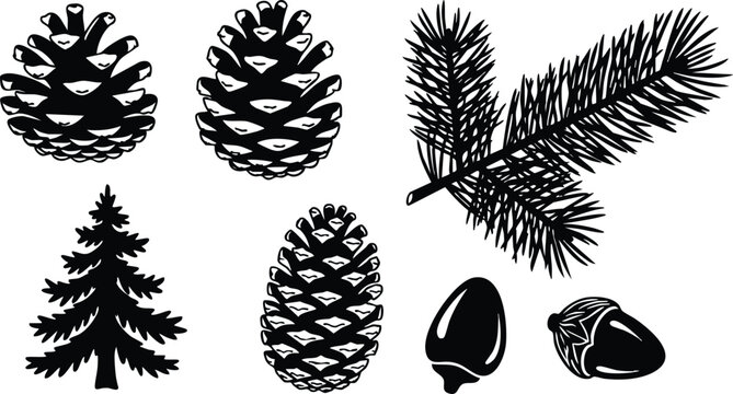 Flat design close up pine cones fir branch and acorns vector set with detailed silhouettes isolated on white botanical illustration top view side view winter decor