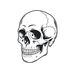 A black and white illustration of a human skull with a cracked temple