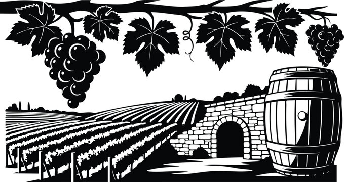 Engraving style overhead vine border with hanging grape bunches and large oak barrel by stone wine cellar entrance over rolling vineyard rows in high contrast composition