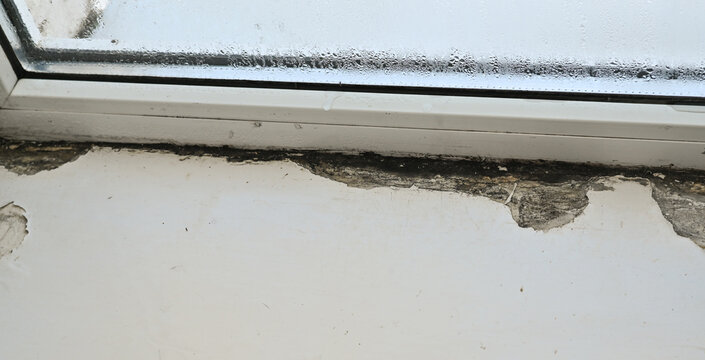 Close-up of mold growth along window sill, showing clear moisture damage and surface discoloration. Mold and dirt accumulation on windowsill, with surface damage and signs of moisture exposure,