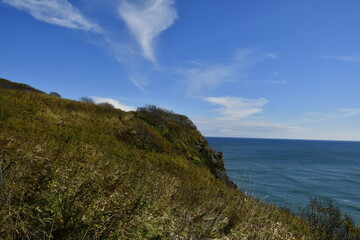 Obraz premium The nature of the Kamchatka Peninsula combines mountainous landscapes and forested areas, and is characterized by its unique topography, flora, and fauna, as well as its climate.