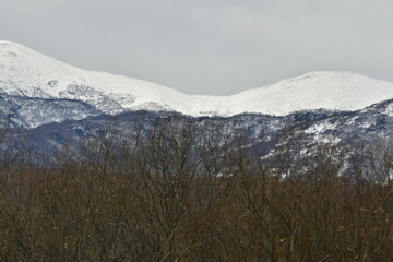 The nature of the Kamchatka Peninsula combines mountainous landscapes and forested areas, and is...