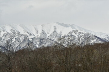 The nature of the Kamchatka Peninsula combines mountainous landscapes and forested areas, and is characterized by its unique topography, flora, and fauna, as well as its climate.