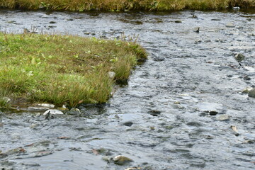 The nature of the Kamchatka Peninsula combines mountainous landscapes and forested areas, and is characterized by its unique topography, flora, and fauna, as well as its climate.