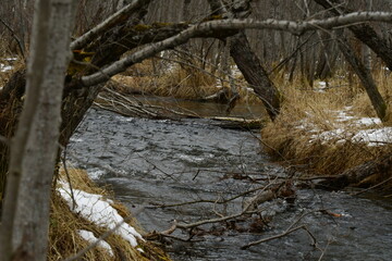 The nature of the Kamchatka Peninsula combines mountainous landscapes and forested areas, and is characterized by its unique topography, flora, and fauna, as well as its climate.