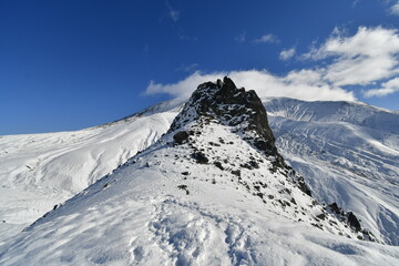 The nature of the Kamchatka Peninsula combines mountainous landscapes and forested areas, and is characterized by its unique topography, flora, and fauna, as well as its climate.