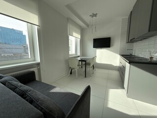 Bright modern studio apartment with kitchen, dining and sofa
