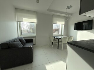 Bright modern living room with dining area and minimalist interior