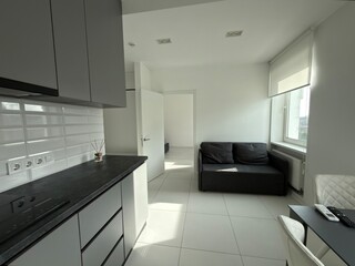 Bright modern studio apartment with kitchen and cozy living area