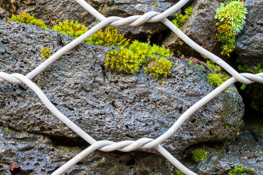 MOSS, ROCKS, AND WIRE