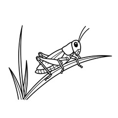 Grasshopper on a Blade of Grass Black and White Line Art.