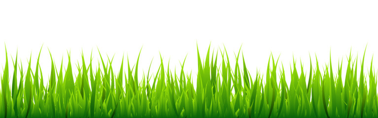 Fototapeta premium Meadow silhouette with green grass, plants on plain. Panoramic summer lawn landscape with herbs, various weeds. Herbal border, frame element. Black horizontal banners. Vector illustration